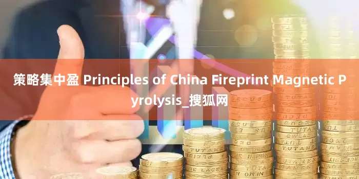 策略集中盈 Principles of China Fireprint Magnetic Pyrolysis_搜狐网
